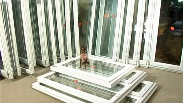 Оконные системы - собачка смотреть онлайн