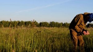 Ловля перепела на "кирке"