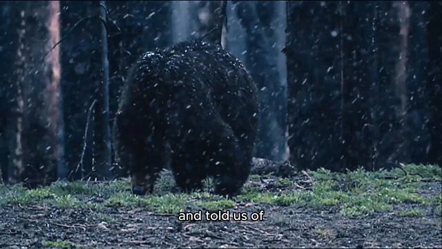 People Take Revenge #102 Mom bumps into two sociopaths on a Ukrainian beach for some sweet revenge. смотреть онлайн