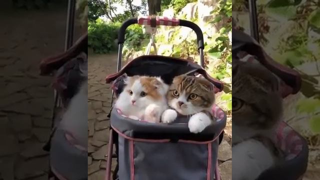 Когда просят поработать в субботу GIF