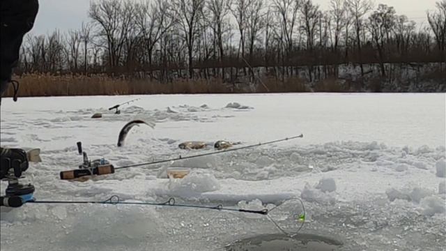 первая зимняя рыбалка смотреть онлайн