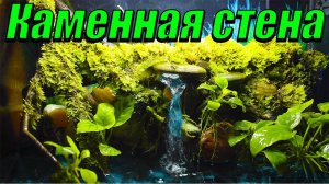 Палюдариум своими руками! Каменная стена в палюдариуме