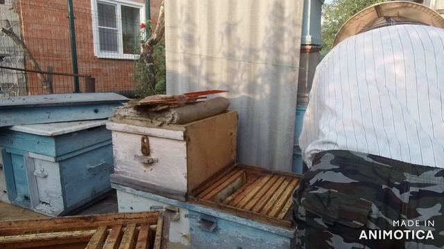 Оганизация осеннней работы на пасеке! смотреть онлайн