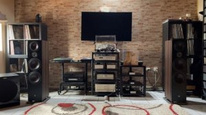 Dali Oberon 9 After a Year (part 3)