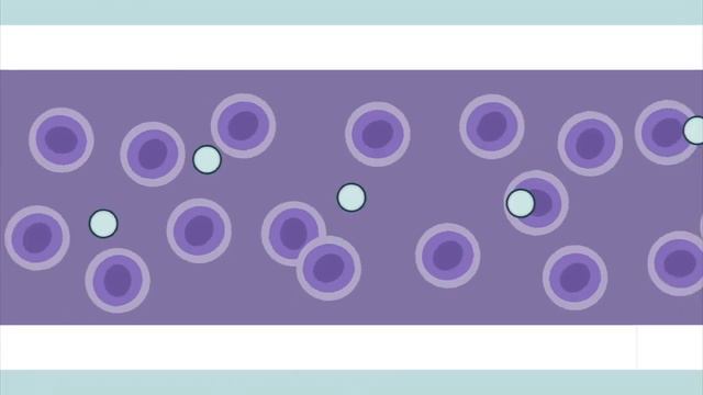 Что такое стволовые клетки? — Крэйг А. Коун (TED-Ed на русском) смотреть онлайн