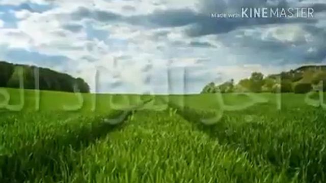 29 ноября 2018 г. смотреть онлайн