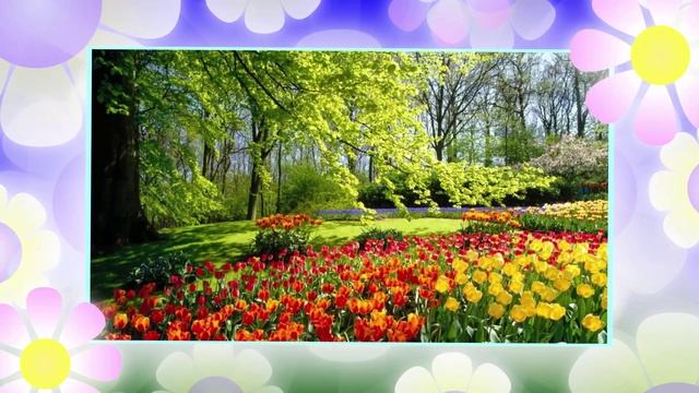 Слайд шоу «Цветы» - программа для создания. Оригинальная программа для создания слайд шоу смотреть онлайн