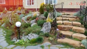 Идеи для сада Хвойные и цветочные композиции Хвойные в горшках / Garden ideas