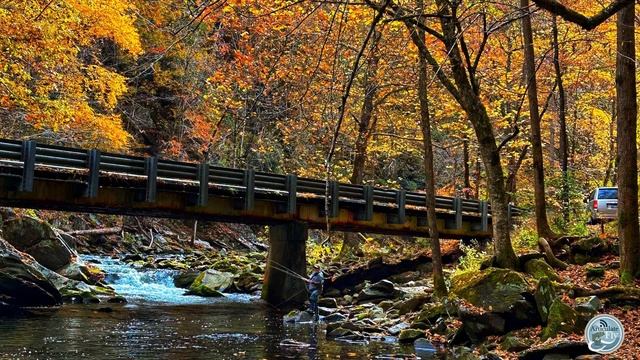 S5, Ep 132: Casting Angles with Mac Brown смотреть онлайн