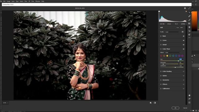 Moody Green - Photoshop Presets | Moody Green Wedding Presets | Moody Filter | Dark Filter смотреть онлайн