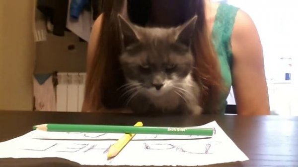 Charlie Charlie Challenge (на русском) | вызов духов