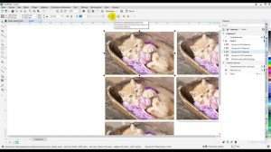 CorelDRAW Tutorial - трассировка фотографии. #coreldraw #coreldrawtutorial #трассировка #tracing