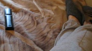 Бурундук в домашних условиях