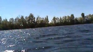 Обь зич под мотором Марлин 9.9(15)