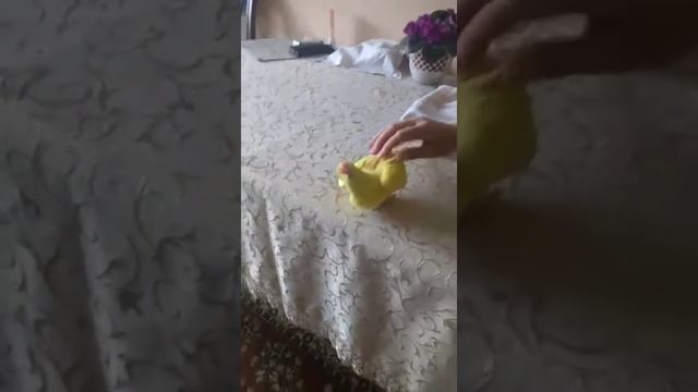 Попугай, Шипа🐦ему все нравится ❤️ смотреть онлайн