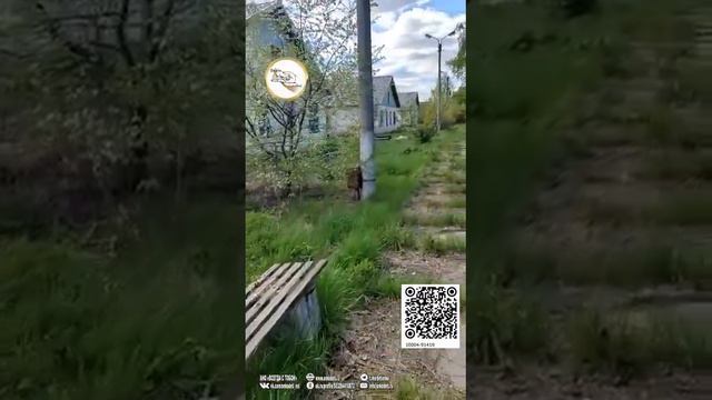 Реконструкция нового РЕА центра для детей. Тула. смотреть онлайн