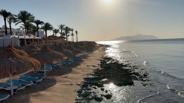 SUNRISE Remal Beach Resort | Єгипет 2023