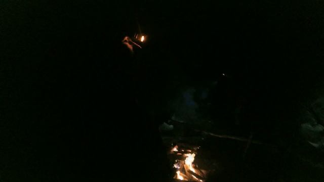 Собираем бруснику в осенней тайге! Шикарные виды! смотреть онлайн