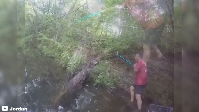 6 Snake Encounters You Really Shouldn't Watch (Part 2) смотреть онлайн
