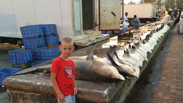 Adams Family отдыхаем красиво.JA Jebel Ali Beach Hotel Dubai незабываемый отдых .ретро смотреть онлайн