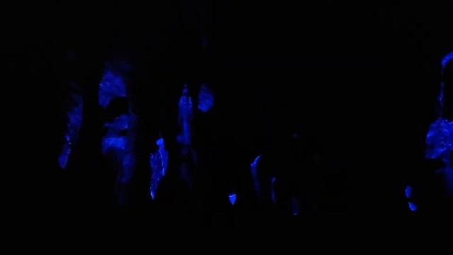 ?LIVE - MAGIC KINGDOM - WALT DISNEY WORLD LIVE STREAM смотреть онлайн
