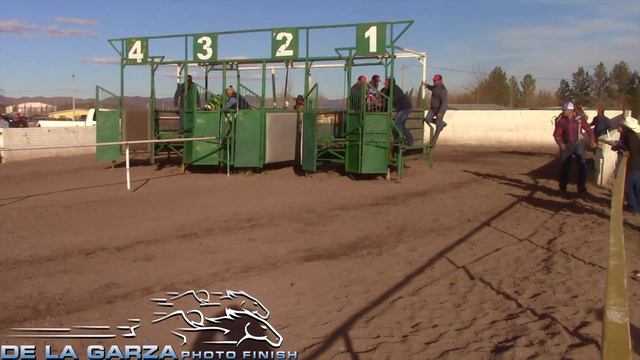 EL SAPO VS EL ROYAL 300 VARAS CARRIL DE JANOS CHIHUAHUA 23 DE FEBRERO DEL 2020 смотреть онлайн