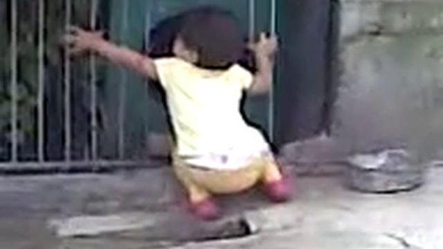 Ребенок лезет в будку к ощенившейся собаке