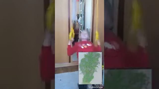 Кувырки на кольцах