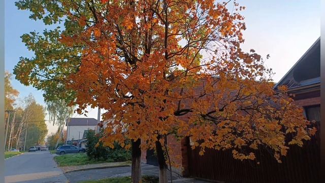 Осень 2023 смотреть онлайн