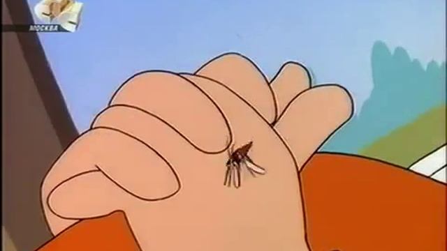 Животные и Их Характеры