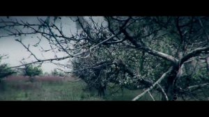 Красное Дерево - Русские идут