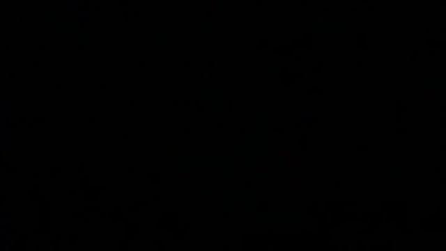 Opening/Closing To "George of the Jungle" (Walt Disney Home Entertainment) DVD Australia (2003/2004 смотреть онлайн