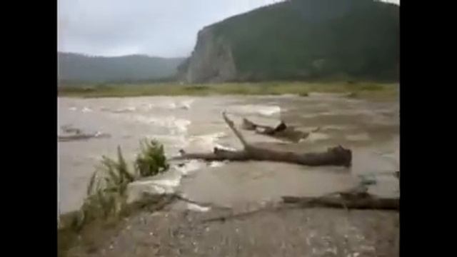 Тайфун "Талас" смотреть онлайн