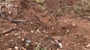 12 ноября 2023 года была проведена операция по извлечению цветного металлолома.