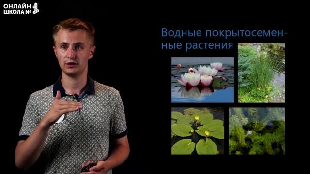 Общая характеристика покрытосеменных растений. Видеоурок 34. Биология 5 класс смотреть онлайн