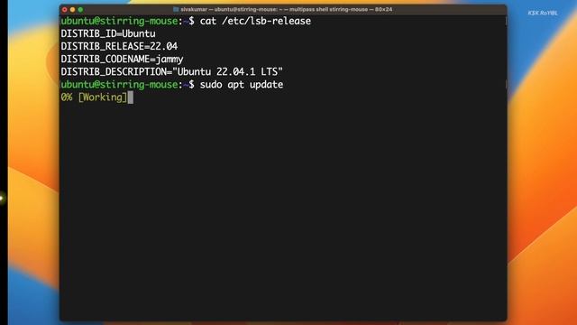 How To Install & RUN Ubuntu W/ GUI On M1 or M2 Mac Using MULTI PASS смотреть онлайн