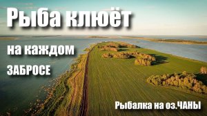 ОЗЕРО ЧАНЫ / РЫБАЛКА НА ПОПЛАВОК.