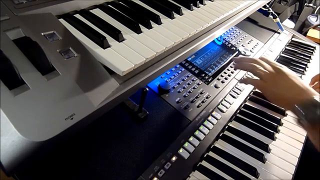 HYPNOTIC LOVE LESSON | Yamaha PSR S970, Tyros cover. смотреть онлайн