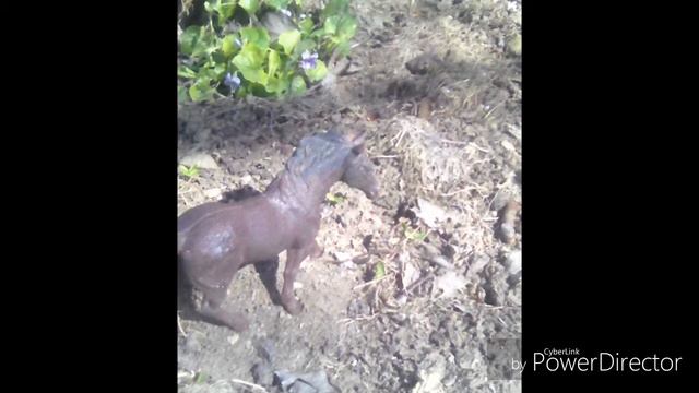 Наступает лето и тепло смотреть онлайн