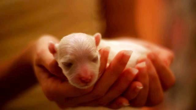 Самая новая русская новинка европа плюс в отличном... смотреть онлайн