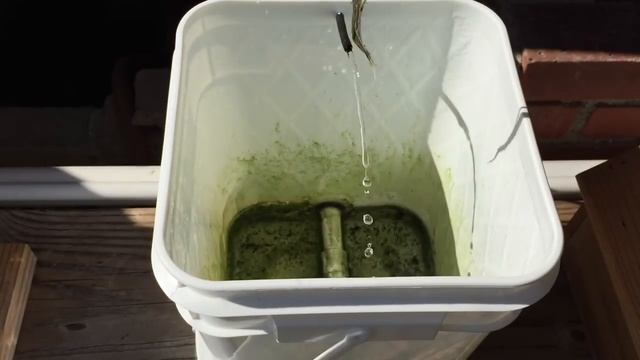 Aeroponic/Aquaponic Barrel Potato Tower! смотреть онлайн