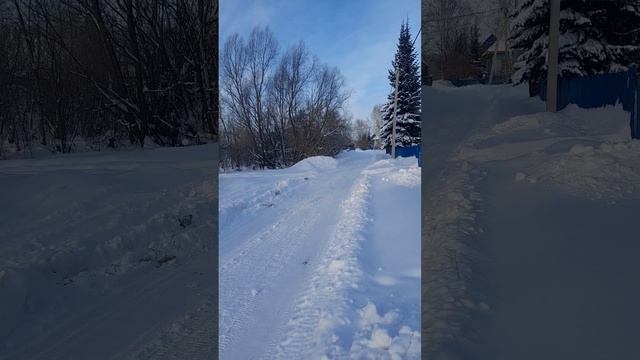 Мототолкач Супер Лонг , на склизах,18.5 сил.(самодел) смотреть онлайн