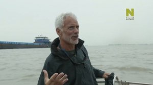 Могучие реки с Джереми Уэйдом. Янцзы