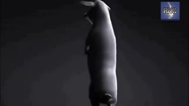 1001579368.mp4 смотреть онлайн