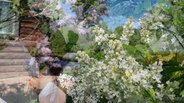 Ходят парами, встречаются подружки. смотреть онлайн