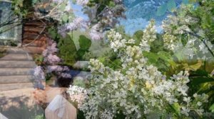 Ходят парами, встречаются подружки.