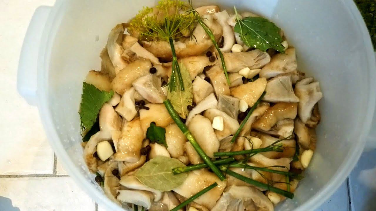 Андрей Щепоткин, грибник