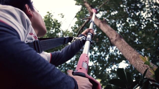 Teleskopowa Pilarka Akumulatorowa Worcraft CPS-S20Li