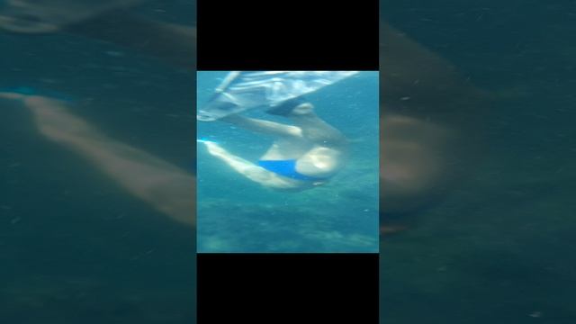 Симеиз 2021г Крым Россия.