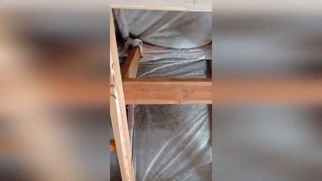 Летучие мыши на даче в Ленинградской области. Разобрали потолок. смотреть онлайн